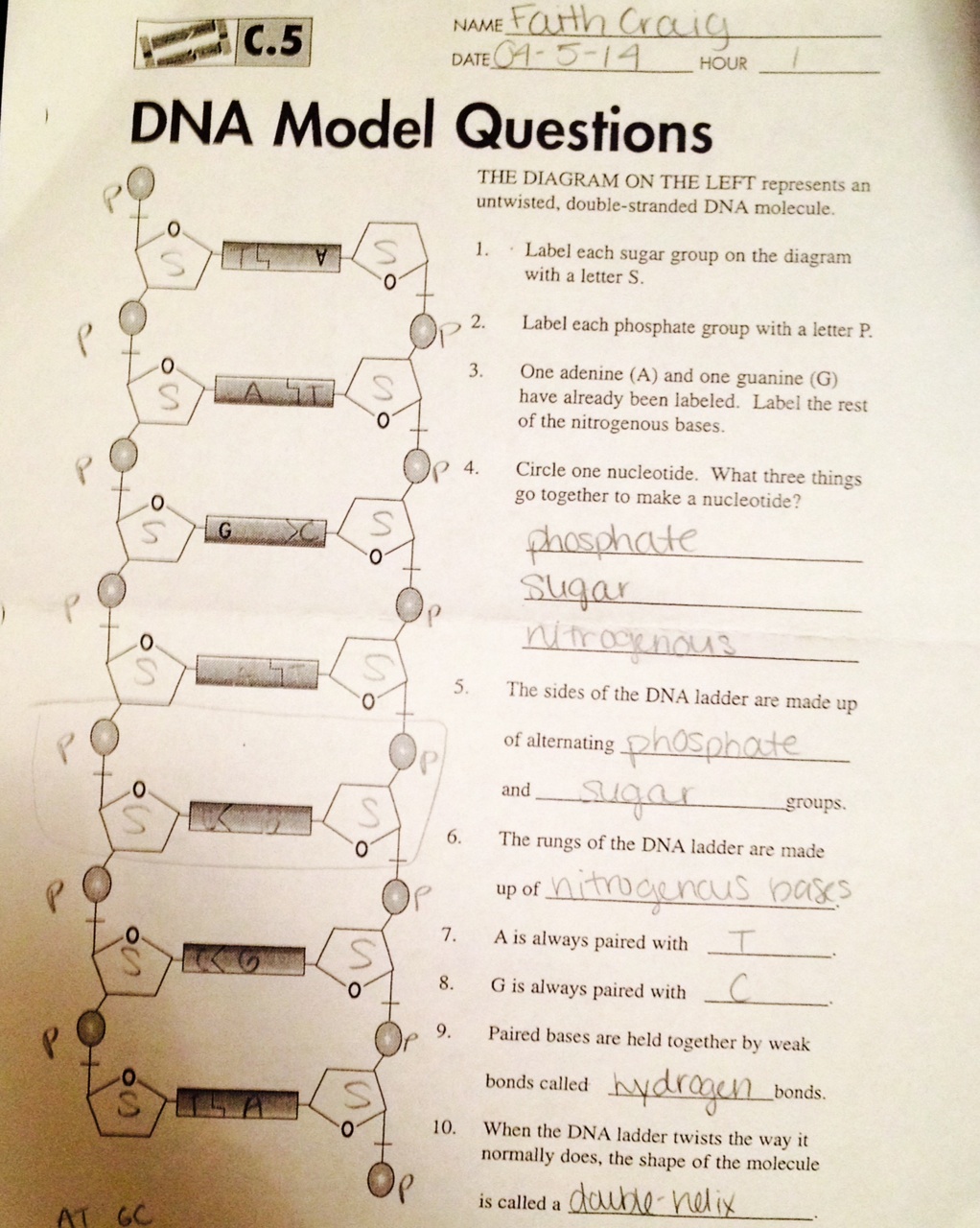 worksheet. Dna The Molecule Of Heredity Worksheet Answers. Grass Fedjp Worksheet Study Site